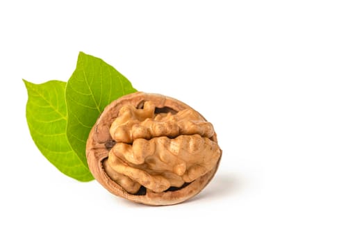 Walnut fruits lie on a white isolated background. Peeled walnut and green leaves with shadow. White isolate for design and project insertion.