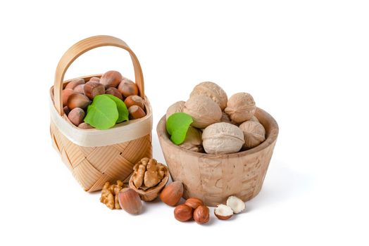 Walnuts and hazelnuts of different varieties lie in wooden saucers and baskets on a white isolated background. Nearby green leaves, walnuts and shelled hazelnuts.