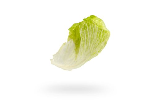 Iceberg lettuce green leaves isolated on white background. Fresh lettuce leaf drops with shadow.Ingredients for hamburgers.