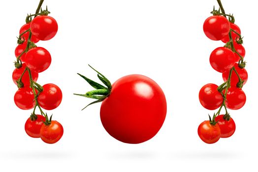 Cherry tomatoes isolate on white, set of different tomatoes on a branch on a white background. For label or banner.
