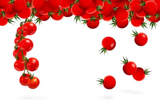 Cherry tomatoes isolate on white, set of different tomatoes on a branch on a white background. For label or banner.