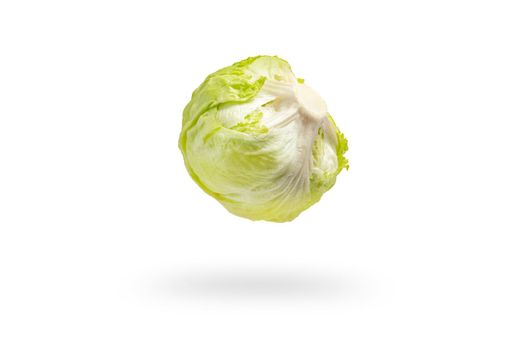 Green iceberg lettuce on white isolated background, drops casting shadow. Iceberg green salad for making popular burgers.