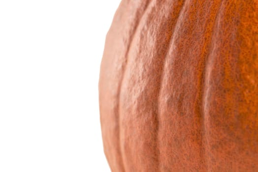 Pumpkin on a white background. Isolated halloween pumpkin isolate on white to insert into your project or design. One orange pumpkin casts a shadow.