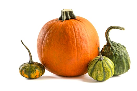 Pumpkin on a white background. Decorative pumpkin isolated halloween isolate on white to insert into your project or design. Three orange pumpkins stacked in a pile cast a shadow.