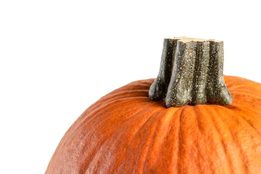 Pumpkin on a white background. Isolated halloween pumpkin isolate on white to insert into your project or design. One orange pumpkin casts a shadow.