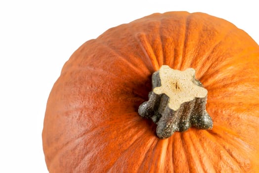 Pumpkin on a white background. Isolated halloween pumpkin isolate on white to insert into your project or design. One orange pumpkin casts a shadow.