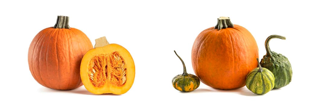 Autumn set of pumpkins isolated on white background for Halloween decoration. Set of pumpkins of different colors and shapes, green and orange.