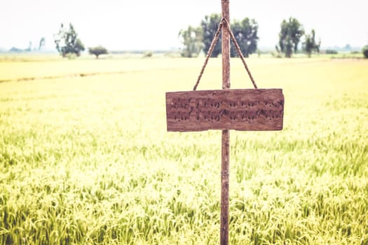 Wooden sign on green rice field environment background abstraction vacation travel