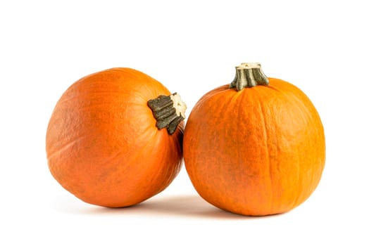 Pumpkin on a white background. Isolated halloween pumpkin isolate on white to insert into your project or design. Two orange pumpkins casting a shadow.