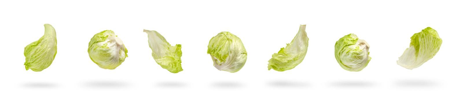 Big set Iceberg lettuce green leaves isolated on white background. Fresh lettuce leaf drops with shadow.Ingredients for hamburgers.