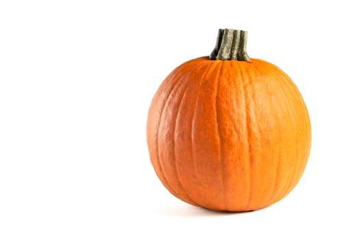 Pumpkin on a white background. Isolated halloween pumpkin isolate on white to insert into your project or design. One orange pumpkin casts a shadow.