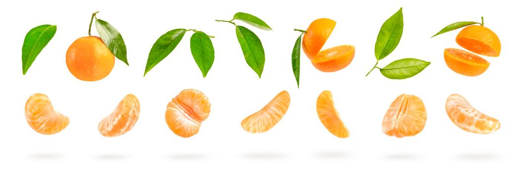 Big set of tangerine parts, different tangerine segments isolated on white background. Leaves and pieces of tangerine fall, casting a shadow.