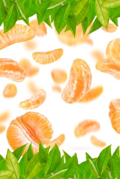 A large set of mandarin slices isolated on a white background falling down casting a shadow. Separate tangerine slices to insert into a project or design.