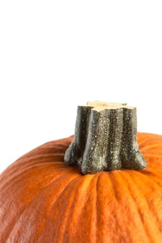 Pumpkin on a white background. Halloween pumpkins isolate on white