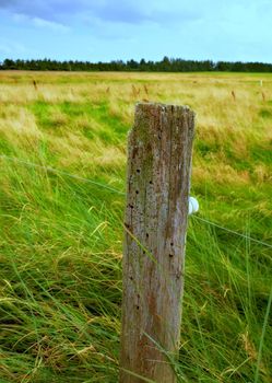Wooden post and electric fence in remote field, meadow in the countryside during the day. Fencing used as boundary to protect farm animals from escaping from green pasture and farmlands in the country.