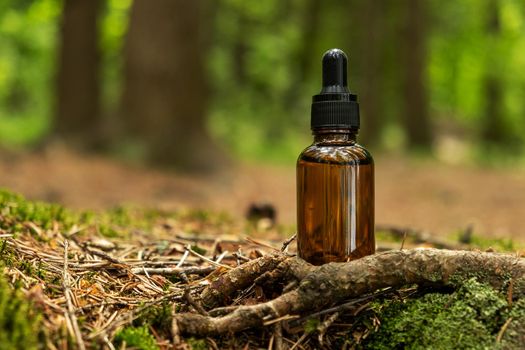 Glass brown cosmetic containers with pipette are located on natural forest background. Natural organic cosmetics concept. Selective focus.