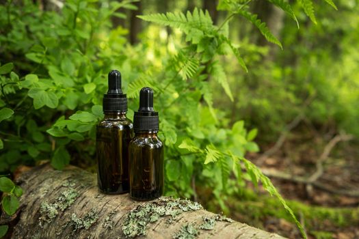 Two glass brown cosmetic containers with pipette are placed against backdrop of a natural forest. Concept of natural organic cosmetics, skin health. Selective focus.