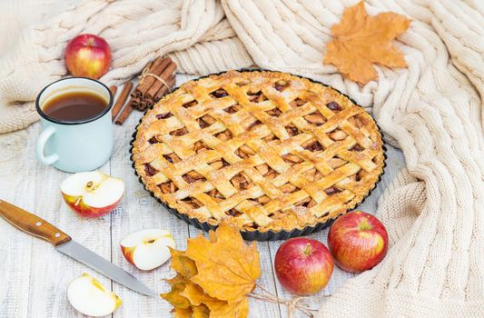 Pie with apples and cinnamon. Selective focus. Food.