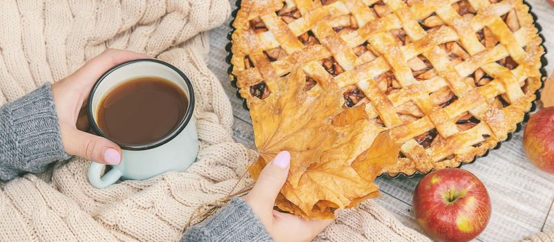 Girl with a cup of tea and a pie with apples and cinnamon. Selective focus. food.