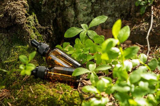 Two glass brown cosmetic containers with pipette are placed against backdrop of a natural forest. Concept of natural organic cosmetics, skin health. Selective focus..