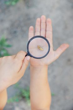 Child with a magnifying glass in his hands. Selective focus. nature.