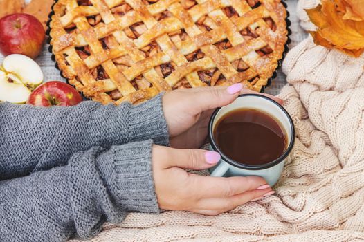Girl with a cup of tea and a pie with apples and cinnamon. Selective focus. food.