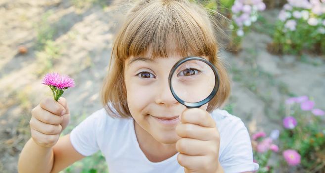 Child with a magnifying glass in his hands. Selective focus.