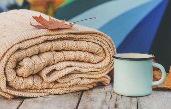 Beautiful autumn background. Hello, Autumn Selective focus nature