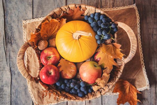 Autumn background with pumpkin. Thanksgiving Day. Selective focus. nature.