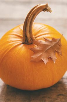 Autumn background with pumpkin. Thanksgiving Day. Selective focus. nature.