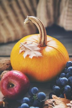 Autumn background with pumpkin. Thanksgiving Day. Selective focus. nature.