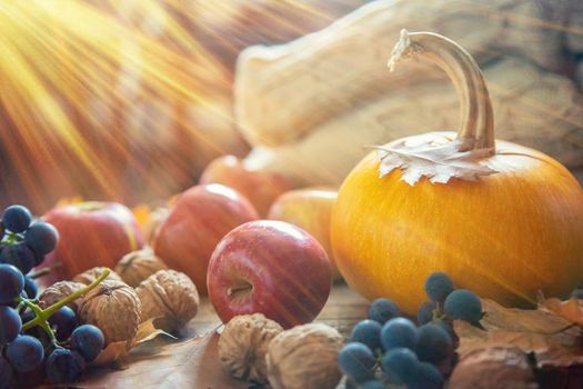 Autumn background with pumpkin. Thanksgiving Day. Selective focus. nature.