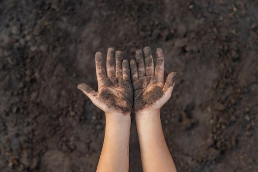 Child in the garden with the earth in his hands. Selective focus. nature.