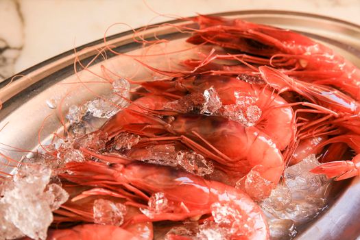 Fresh red prawn with ice on stainless steel tray