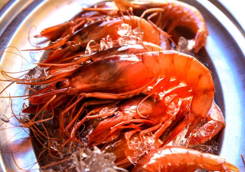 Fresh red prawn with ice on stainless steel tray