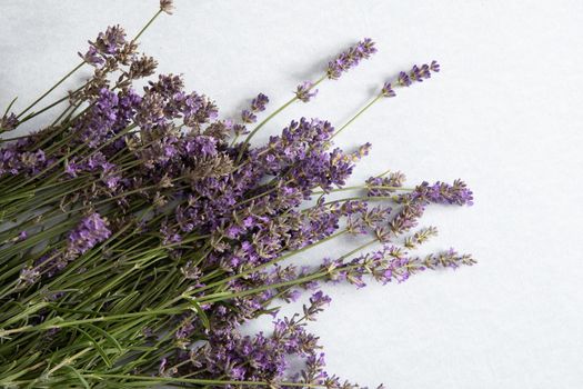 lavender bouquet on light gray background, natural aromatherapy. High quality photo