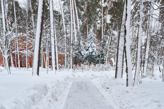 a way or track laid down for walking or made by continual treadingWinter path to the house among large forest trees.