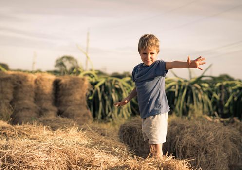 Boy smile play dance grimace show off blue t-shirt stand on haystack bales of dry grass, clear sky sunny day. Balance training. Concept happy childhood, children outdoors, clean air close to nature.