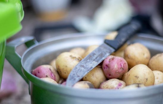 Stainless steel saucepan with raw new potatoes and a kitchen knife. Potatoes not peeled. Close-up of yellow and red skinned potatoes. Peeling potatoes in the kitchen on a wooden rustic table