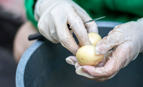 Woman's hands in white gloves peel raw new potatoes, close-up. Cleaning organic potatoes. Detail of female hands peeling fresh yellow potato with kitchen knife, food preparation concept