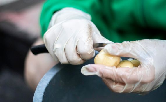 Woman's hands in white gloves peel raw new potatoes, close-up. Cleaning organic potatoes. Detail of female hands peeling fresh yellow potato with kitchen knife, food preparation concept
