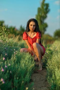 Sexy brunette girl in a red dress with polka dots posing in a meadow among wild herbs, flowers and trees on a summer sunny day