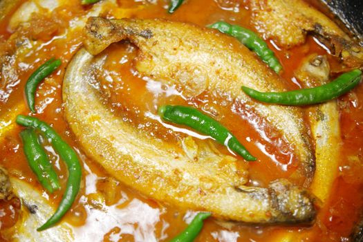 Close up of homemade indian curry fish.