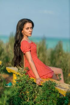 Brunette girl in a red dress with small polka dots on a bench in a meadow among wild herbs overlooking the sea