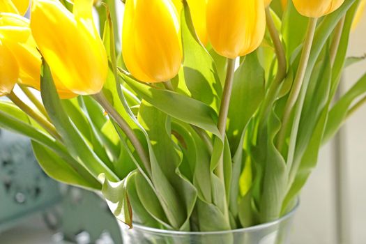 In the vase there is a bouquet of flowering tulips. Congratulations on the holiday