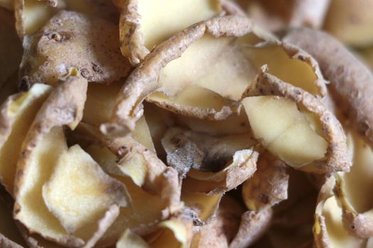 Potato peel. Cleaning food before cooking and eating. Potatoes are a type of perennial tuberous herbaceous plants. Potato tubers are an important food product