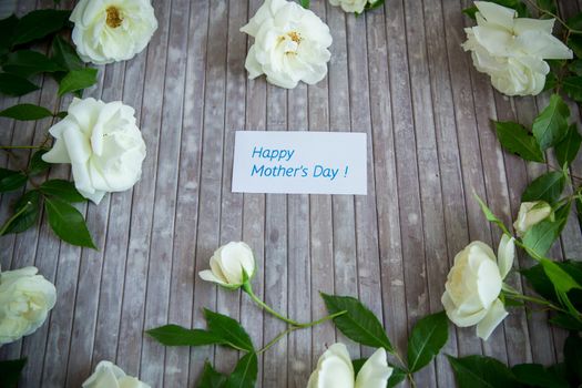 beautiful background of many white roses on a light wooden