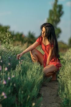 Sexy brunette girl in a red dress with polka dots posing in a meadow among wild herbs, flowers and trees on a summer sunny day