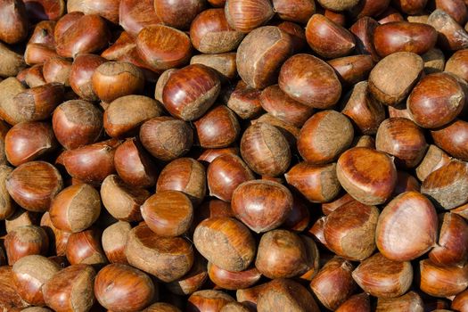 Raw Organic Brown Chestnuts. Macro. Stock image