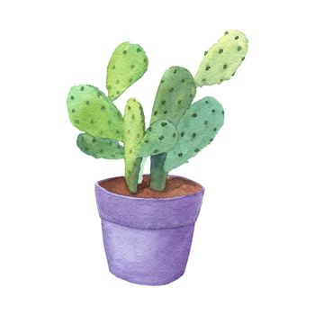 Watercolor hand drawn potted plant cactus. Botanical element for living room isolated on white. Houseplant in pot.